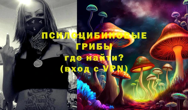 крисы Нефтекумск