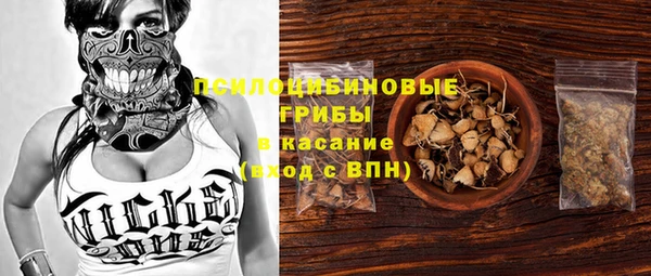 мескалин Новодвинск