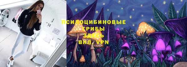 марки lsd Болотное