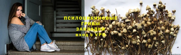 мескалин Новодвинск