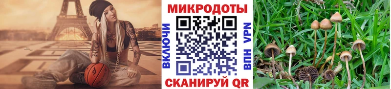 Псилоцибиновые грибы мицелий  omg зеркало  Инта 
